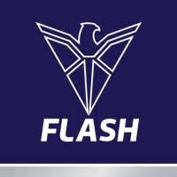 Flash Electronics India Pvt. Ltd.